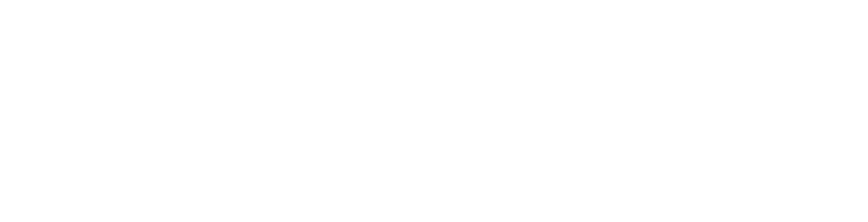 Your Company